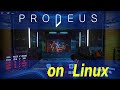 Prodeus on Linux