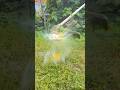 Egg vs String Trimmer: 0.1x Ultimate Slow Motion