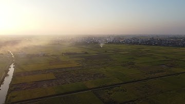 Mùa Gặt - Bài hát của Isaac Thái