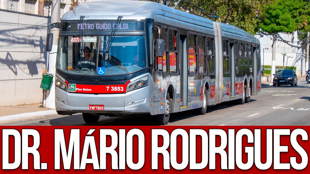 Avenida Doutor Mário Vilas Boas Rodrigues - Movimentação de Ônibus #802