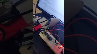 Raspberry Pi 4(LED's and Buzzer)