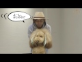 AFLOAT DOG かわいく変身？！編