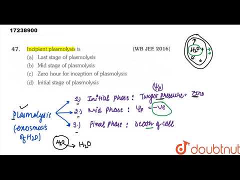 Video: Når oppstår begynnende plasmolyse?