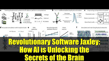Revolutionary Software Jaxley: How AI is Unlocking the Secrets of the Brain