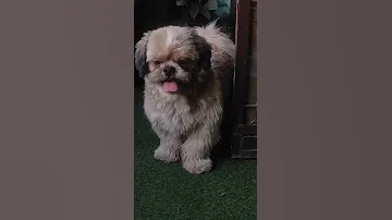 Https Www Instagram Com Huan Coffee Igsh MXQzbnV5amY3ZWYyZw 