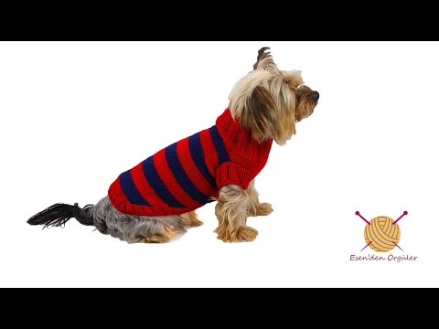 Video: Köpek Neutering Ne Kadar Alır?