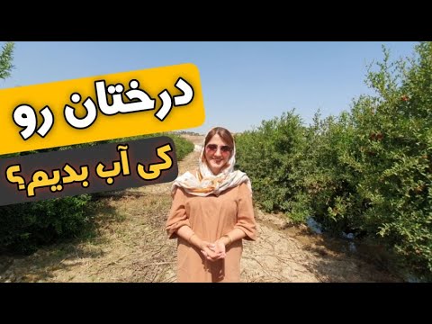 تصویری: غرقابی در کجا رخ می دهد؟