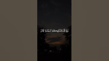 وَإِذْ قُلْنَا لِلْمَلَائِكَةِ اسْجُدُوا لِآدَمَ || سورة طه #علاء_عقل 🤍🌱