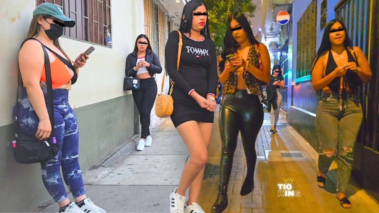 Tour Zepita & Risso Lince | Walk Recorrido Peru