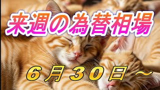 【TAKA FX】ドル、円、ユーロ、ポンド、豪ドルの環境認識解説  6月30日(月)～