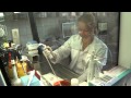 hematologie Vedaavyzkum