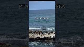 Sometimes the ocean says everything without words. 🌊La Jolla, California.