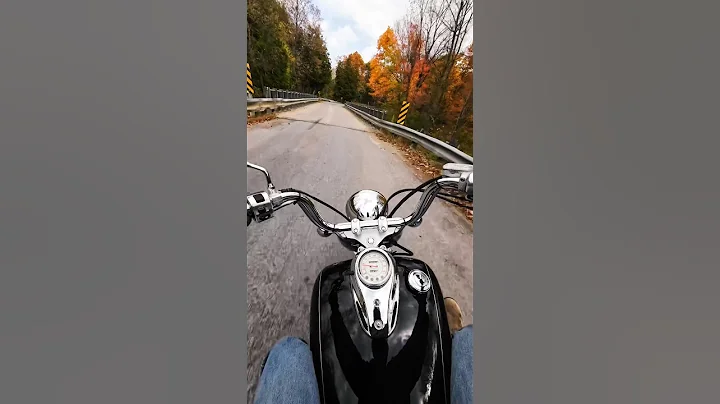 Yamaha 650 Vstar Gun pickup