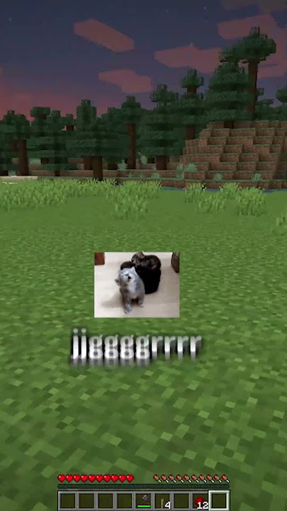 Le di su merecido #shorts #minecraft