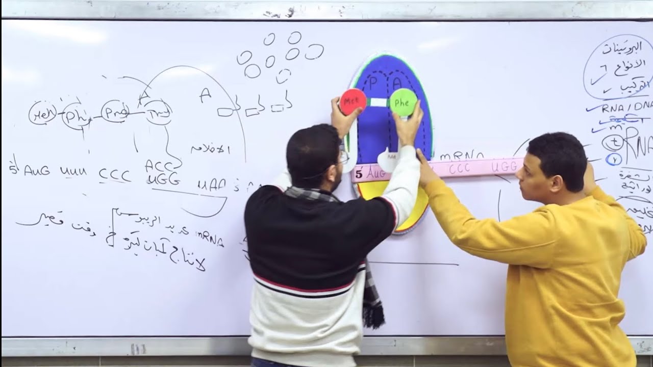 26- الدرس الرابع | RNA وتخليق البروتين 🧬 متعة التعلُّم ✨♥️