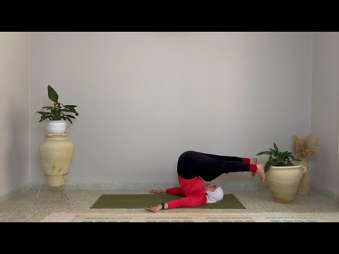 Core in Motion: Mobile Spine in All Directions