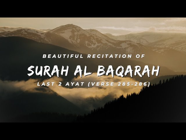 Beautiful Recitation of Surah Al-Baqarah Last 2 Verses: 285-286 | By Ahmad Al Shalabi class=