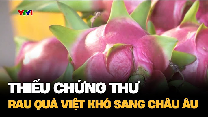 Thiếu chứng thư, rau quả Việt khó sang Châu Âu | VTV4
