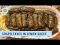 Dolmadakia Avgolemono: Greek Style Stuffed Grape Leaves with a Lemony Sauce