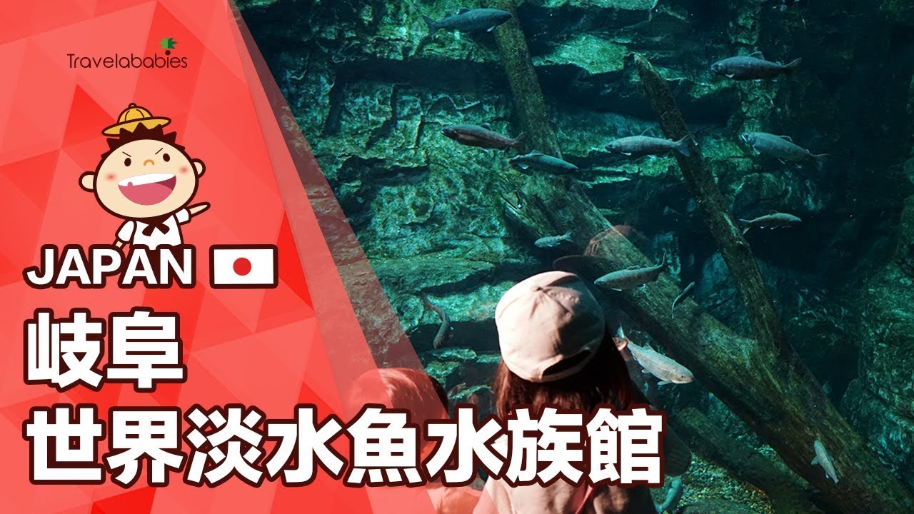 日本岐阜縣世界淡水魚水族館 一生至少去一次 的親子遊 與海洋生物共度奇妙夜 Youtube