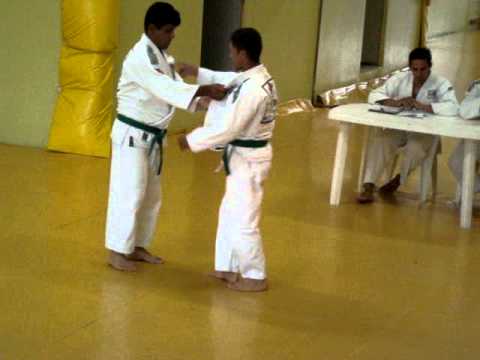 Exame de faixa verde judo