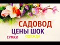 САДОВОД/СУМКИ/ОДЕЖДА/НОВИНКА 2019 Г/ИЮЛЬ 2019 Г/ОПТ И РОЗНИЦА/МОСКВА РЫНОК