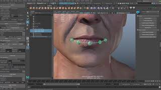 Celebrity joint based facial expression 16 lip ribbon basic setup Net Worth