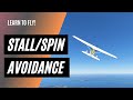 I was shocked when my cfi showed me this  stall spin avoidance