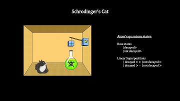 How Small Is It - Chapter 6 - Superposition and Quantum Entanglement (4K)