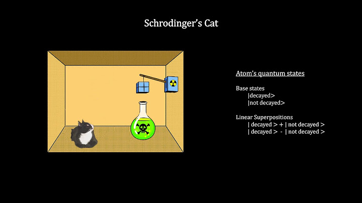 How Small Is It - Chapter 6 - Superposition and Quantum Entanglement (4K)