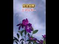 #安全地帯/#エネルギー/#玉置浩二/#short/