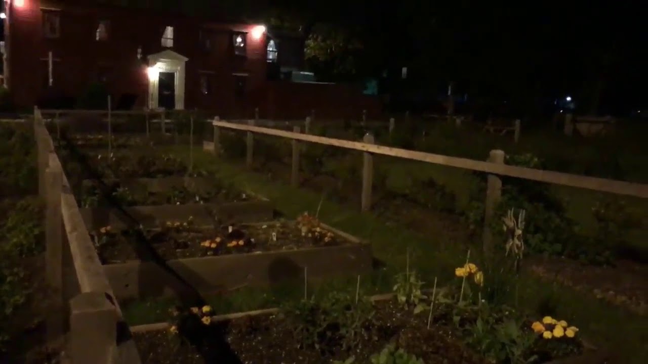 Thumbnail for Rooftop Park Community Gardens