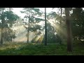 sun rays  cinematic  video ! sun  rays cinematic ! sun  rays song !