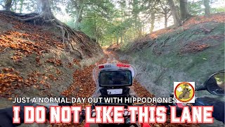 gravity takes over | first off road for while | crf250 rally | beta @Mrfish2015
