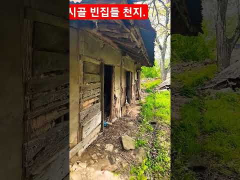 시골 빈집들 <strong>천지</strong> ᆢ