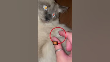 You Won’t See This in Ads