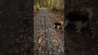 Консультация кредит покупка и аренда недвижимости в Польше 🇵🇱 #AlehYarmak