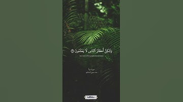 قل إن ربي يبسط الرزق لمن يشاء ويقدر | سورة سبأ | المنشاوي #quran