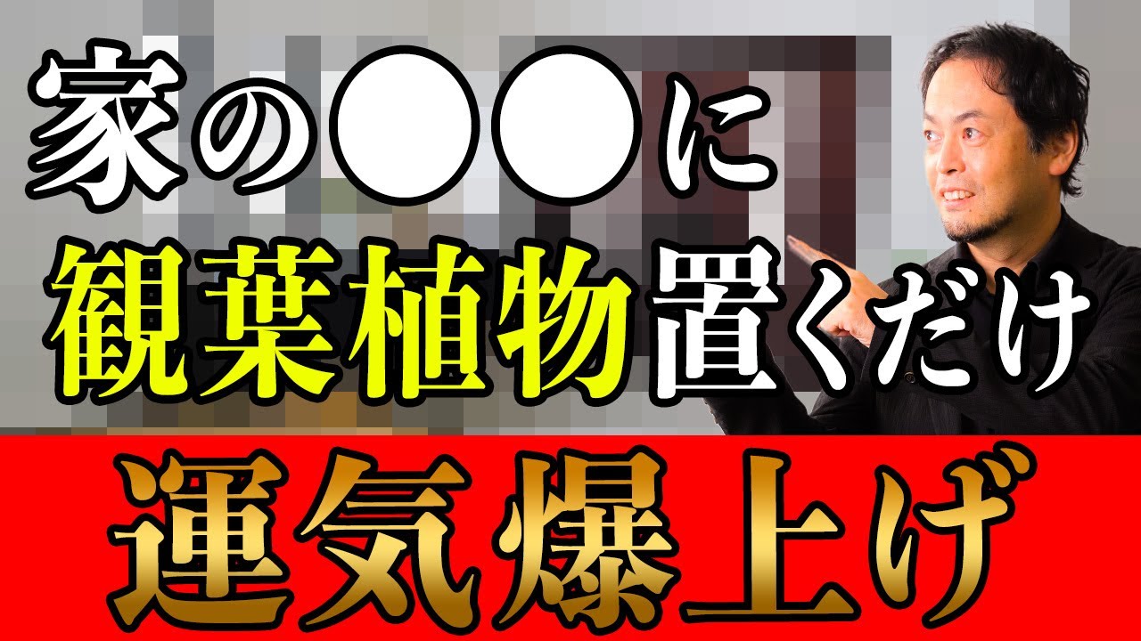 貧乏神が逃げていく！家の〇〇に観葉植物を置いて運気が爆上がり！