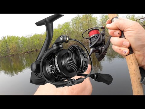 Piscifun Carbon X Real Reel Review 