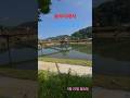 동부리에서/In Dongbu-ri #shorts 아침 개울 풍경/Morning stream scenery #윤드림 /Yoon Dream