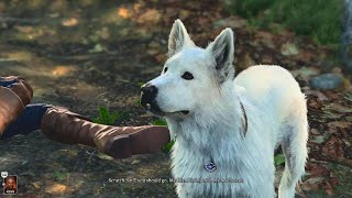 Baldur's Gate 3 Scratch n Gomwick Content