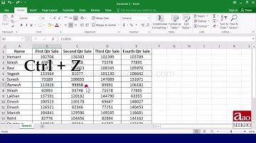 6. MS Excel - Undo and Redo
