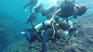 沖繩青之洞窟潛水Okinawa Diving [GoPro Hero 4]