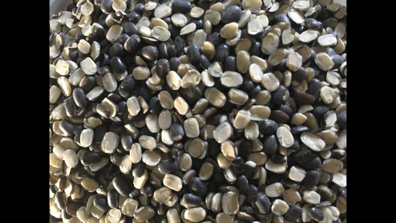 HOW TO CLEAN BLACK OR SKIN SPLIT URAD DAL