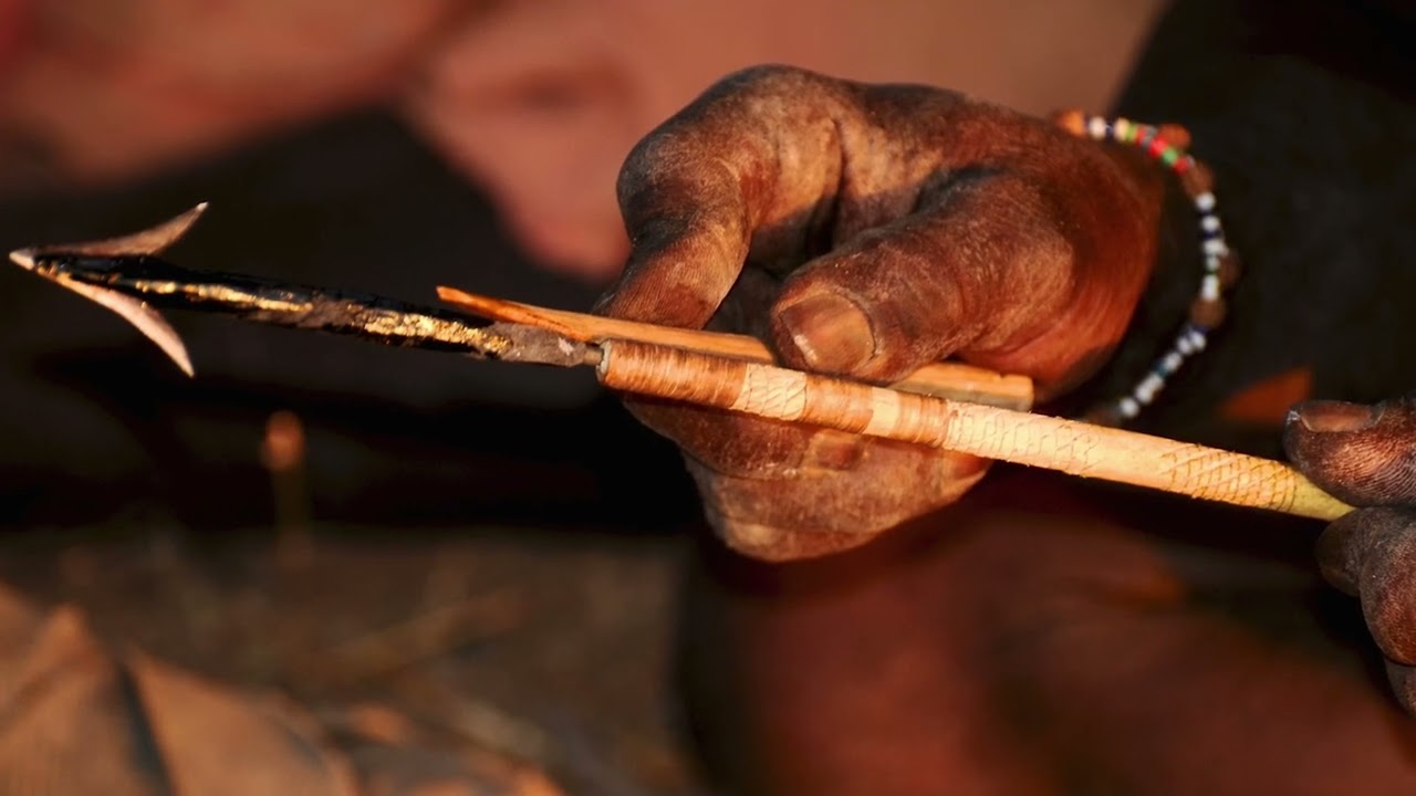 3D DOCUMENTARY STYLE EDIT