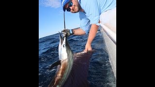 Exmouth billfish On Strike Charters WA Sailfish &amp; Black Marlin Fishing