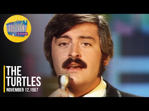 The Turtles 'She's