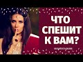 ЗАГАДАЙ КАРТУ И УЗНАЙ СВОЕ БУДУЩЕЕ! ЧТО СПЕШИТ В ВАШУ ЖИЗНЬ? КАК ИЗМЕНИТСЯ  ЖИЗНЬ? расклад на судьбу