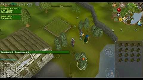 rsbots auto woodcutter pro for trade runescape